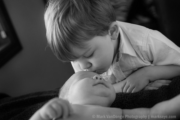 2012Portrait_Anderson_0007bw