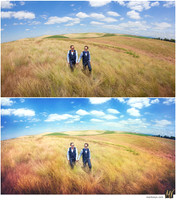 Basic Edit vs Signature Edit