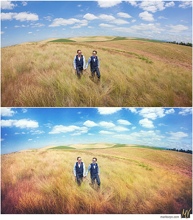 Basic Edit vs Signature Edit