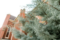 2019_GleasonMemorial_0011