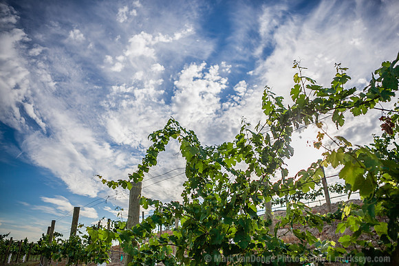 2013_RobertMike_0176