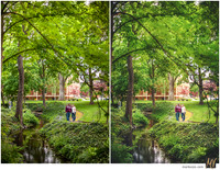 Basic Edit vs Signature Edit