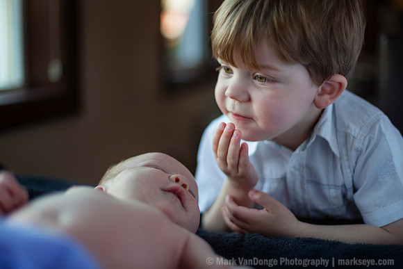 2012Portrait_Anderson_0006