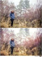 Basic Edit vs Signature Edit