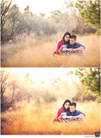 Basic Edit vs Signature Edit