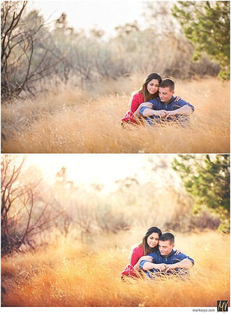 Basic Edit vs Signature Edit