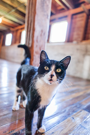 2013_EpiSarah_0052