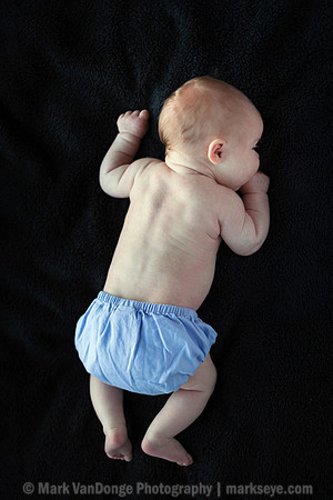 2012Portrait_Anderson_0001