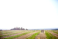 2014_E_ChristineBrandon_0001