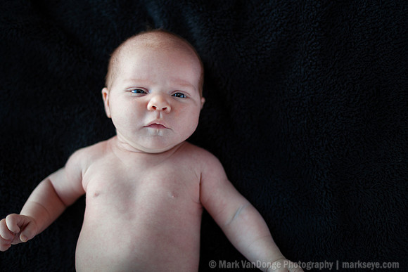 2012Portrait_Anderson_0003