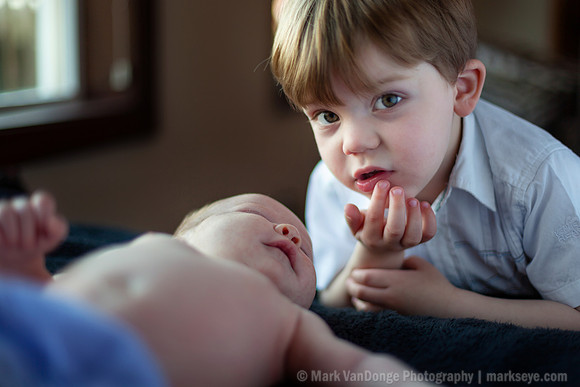 2012Portrait_Anderson_0005