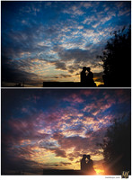 Basic Edit vs Signature Edit