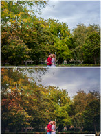 Basic Edit vs Signature Edit