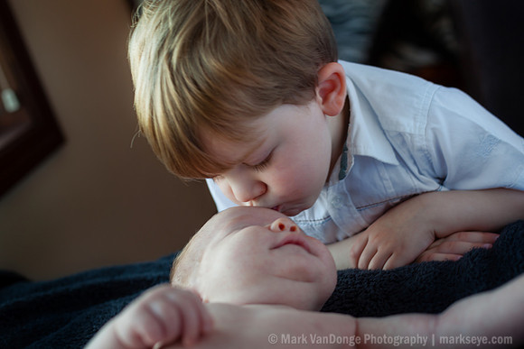 2012Portrait_Anderson_0007