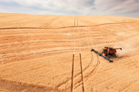 2025_VisitWW_03_Ag_WheatHarvest_0008
