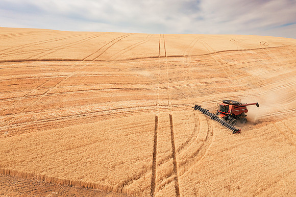 2025_VisitWW_03_Ag_WheatHarvest_0008