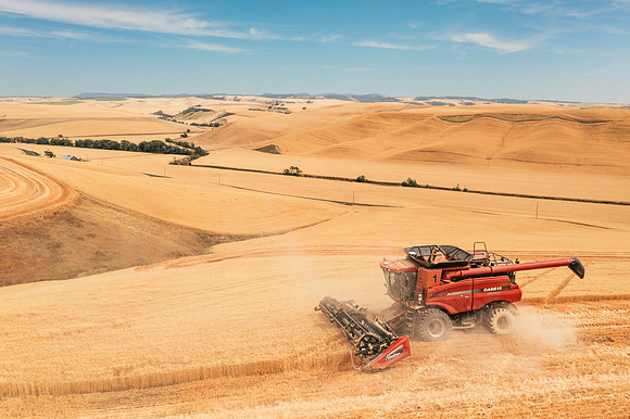 2025_VisitWW_03_Ag_WheatHarvest_0003