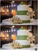 Digital Negative vs Signature Edit