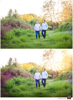 Basic Edit vs Signature Edit