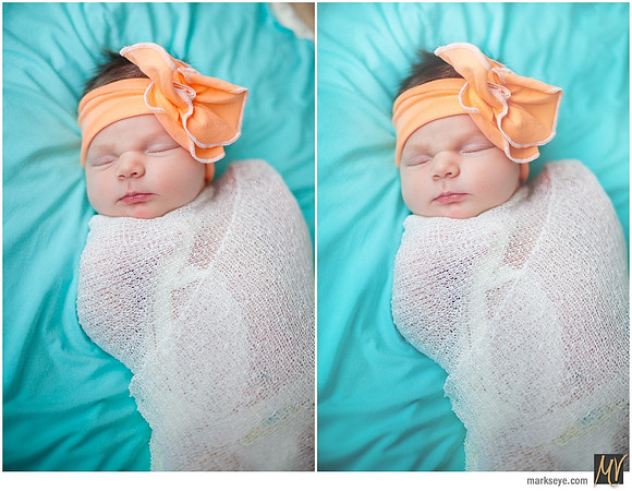 Basic Edit vs Signature Edit