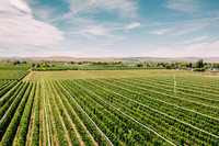 2025_VisitWW_01_Ag_MF Orchards_0001