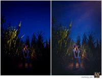 Basic Edit vs Signature Edit