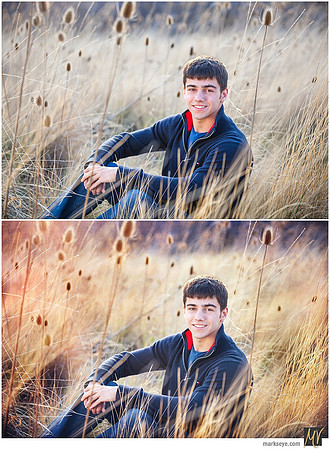Basic Edit vs Signature Edit