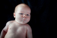 2012Portrait_Anderson_0004