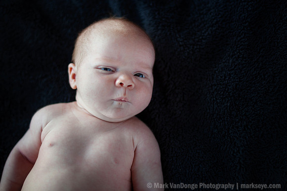 2012Portrait_Anderson_0004