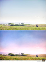 Basic Edit vs Signature Edit