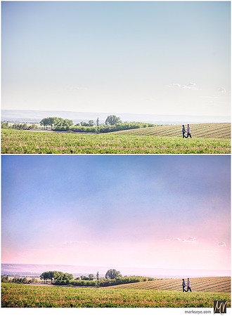 Basic Edit vs Signature Edit