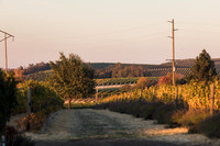 2018_Leonetti_Loess_V2_0010