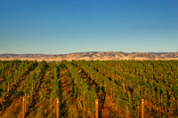 2011_Basel_MtnView_0001