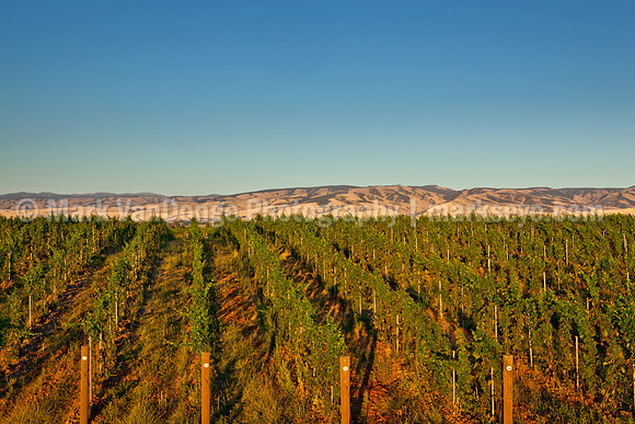 2011_Basel_MtnView_0001