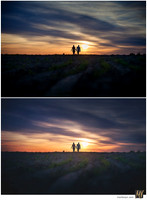 Basic Edit vs Signature Edit