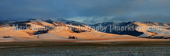 IMG_8878 pan wide 12x36 alt1