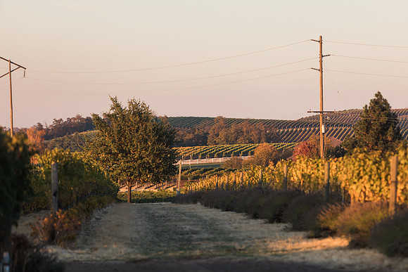 2018_Leonetti_Loess_V2_0010