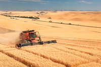 2025_VisitWW_03_Ag_WheatHarvest_0005