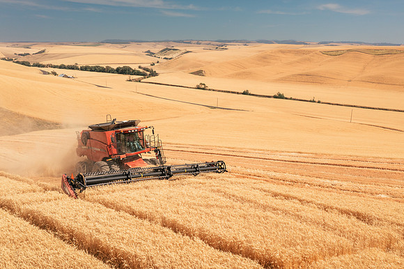 2025_VisitWW_03_Ag_WheatHarvest_0005