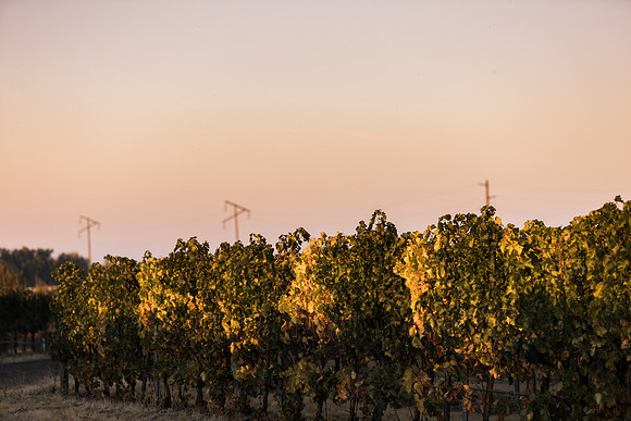 2018_Leonetti_Loess_V2_0015