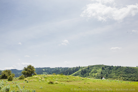 2014_EmilyRyan_0047