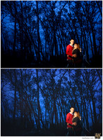 Basic Edit vs Signature Edit