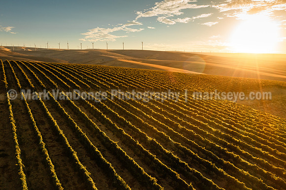 2024_MarkVanDonge_CF_0003
