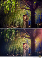 Basic Edit vs Signature Edit