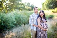 2014_HariShaker_0001