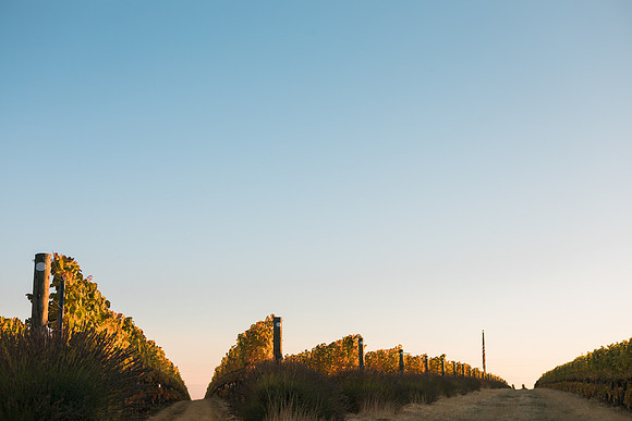 2018_Leonetti_Loess_V2_0004