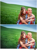 Basic Edit vs Signature Edit