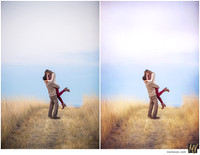 Basic Edit vs Signature Edit