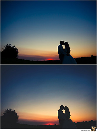 Basic Edit vs Signature Edit