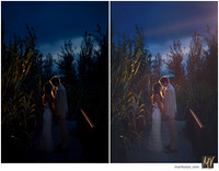Digital Negative vs Signature Edit